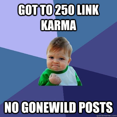 got to 250 link karma no gonewild posts - got to 250 link karma no gonewild posts  Success Kid