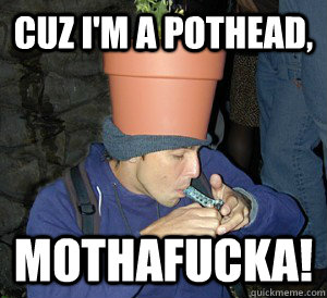 CUz i'm a pothead, mothafucka! - CUz i'm a pothead, mothafucka!  pothead