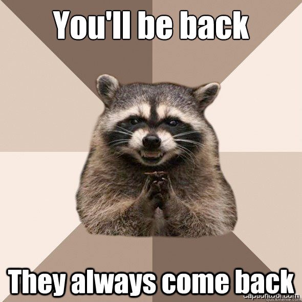 You'll be back They always come back - You'll be back They always come back  DLI real Scheming raccoons