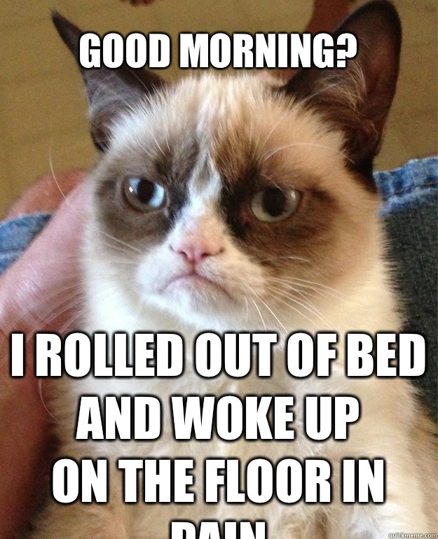 Good morning? I rolled out of bed
And woke up
on the floor in pain  Grumpy Cat