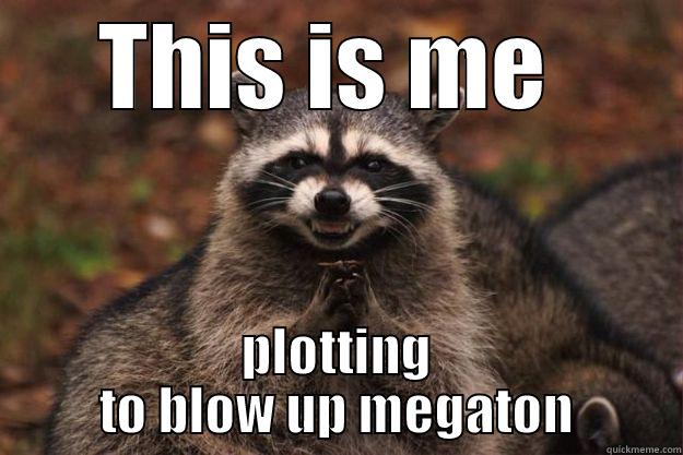 Megaton explosion  - THIS IS ME  PLOTTING TO BLOW UP MEGATON Evil Plotting Raccoon