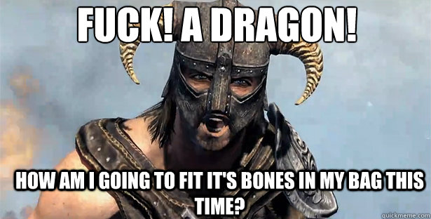 Fuck! A Dragon! How am I going to fit it's bones in my bag this time? - Fuck! A Dragon! How am I going to fit it's bones in my bag this time?  skyrim