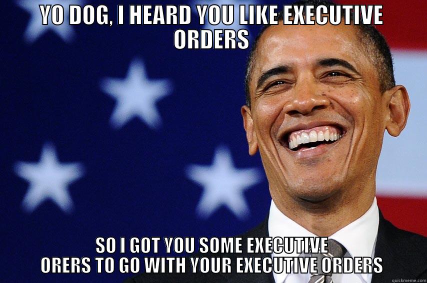 yo dog - YO DOG, I HEARD YOU LIKE EXECUTIVE ORDERS SO I GOT YOU SOME EXECUTIVE ORERS TO GO WITH YOUR EXECUTIVE ORDERS Misc