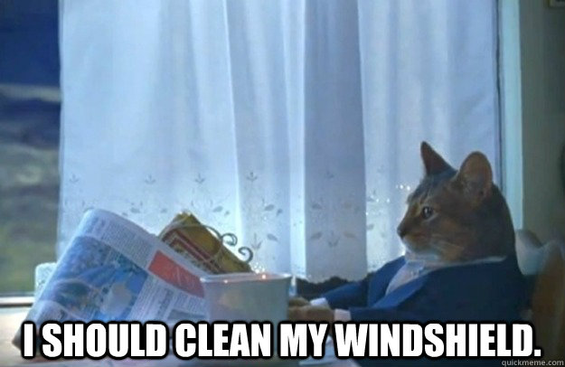  I should clean my windshield.  Sophisticated Cat