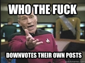 Who the fuck Downvotes their own posts   Annoyed Picard