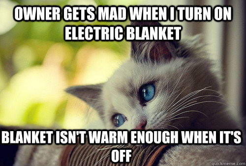 owner gets mad when I turn on electric blanket blanket isn't warm enough when it's off - owner gets mad when I turn on electric blanket blanket isn't warm enough when it's off  First World Problems Cat