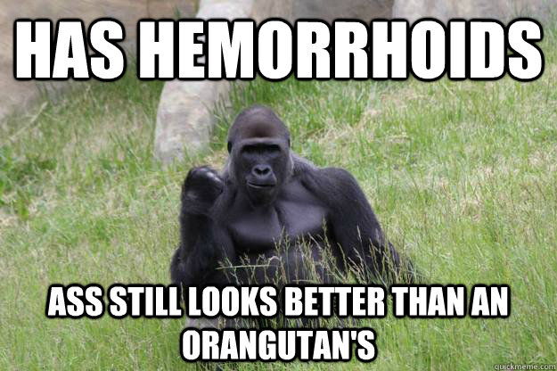 HAS hemorrhoids ASS STILL LOOKS BETTER THAN AN orangutan's  Success Gorilla