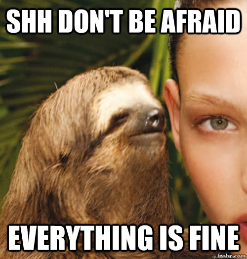 Shh don't be afraid everything is fine - Shh don't be afraid everything is fine  rape sloth