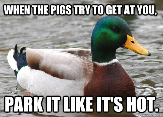 When the pigs try to get at you, park it like it's hot. - When the pigs try to get at you, park it like it's hot.  Actual Advice Mallard