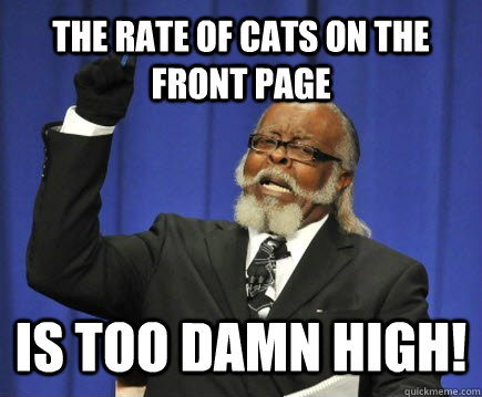 The rate of cats on the front page is too damn high!  Too Damn High