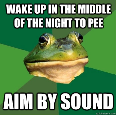 Wake up in the middle of the night to pee aim by sound  Foul Bachelor Frog
