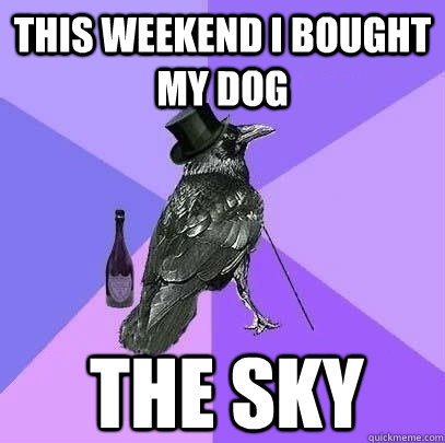 this weekend i bought my dog the sky  Rich Raven