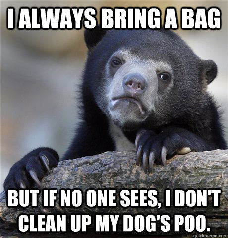 I always bring a bag But if no one sees, I don't clean up my dog's poo.   Confession Bear