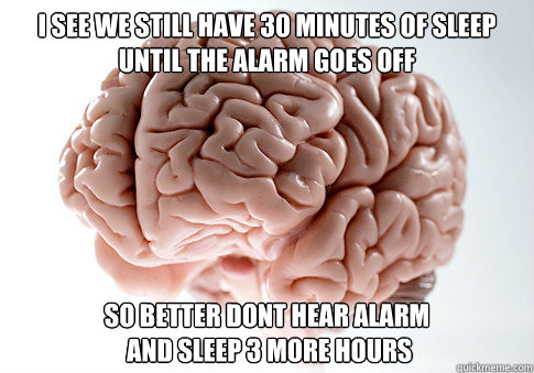 I see we still have 30 minutes of sleep until the alarm goes off So better dont hear alarm
 and sleep 3 more hours  Scumbag Brain