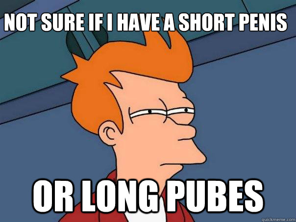 not sure if i have a short penis or long pubes  Futurama Fry