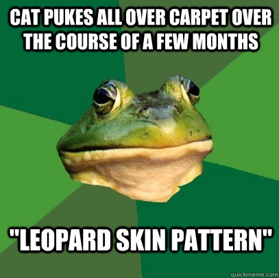 Cat pukes all over carpet over the course of a few months 