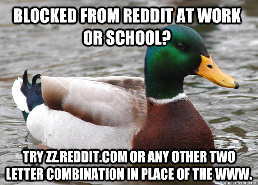 Blocked from reddit at work or school? Try zz.reddit.com or any other two letter combination in place of the www.  Actual Advice Mallard