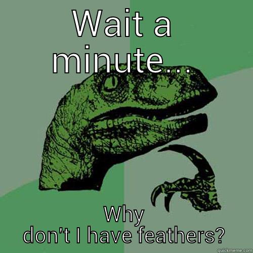 WAIT A MINUTE... WHY DON'T I HAVE FEATHERS? Philosoraptor