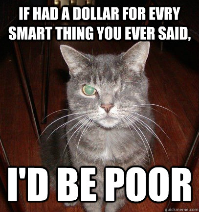 If had a dollar for evry smart thing you ever said, I'd be poor  