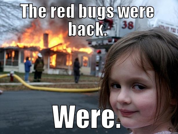 The bugs. - THE RED BUGS WERE BACK. WERE. Disaster Girl