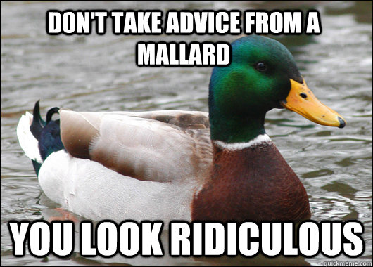 Don't Take Advice from a Mallard You look ridiculous  Actual Advice Mallard