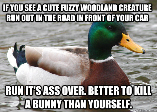if you see a cute fuzzy woodland creature run out in the road in front of your car run it's ass over. better to kill a bunny than yourself. - if you see a cute fuzzy woodland creature run out in the road in front of your car run it's ass over. better to kill a bunny than yourself.  Actual Advice Mallard