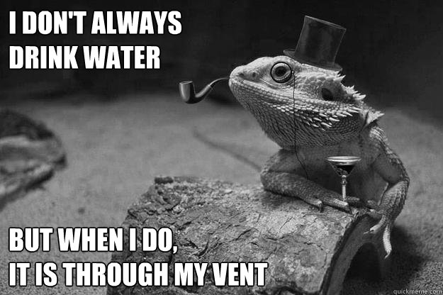 I don't always
drink water  But when I do,
It is through my vent - I don't always
drink water  But when I do,
It is through my vent  Incredibly Interesting Martini