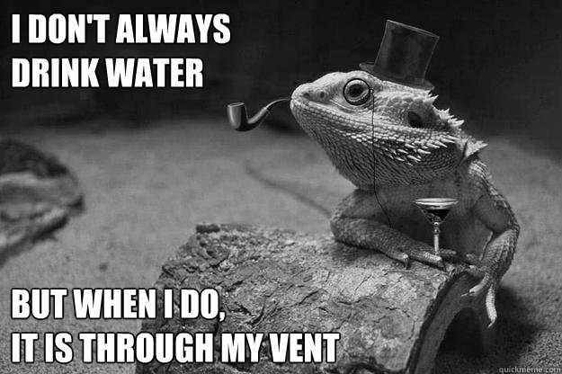 I don't always
drink water  But when I do,
It is through my vent  Incredibly Interesting Martini
