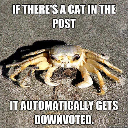 If there's a cat in the post it automatically gets downvoted. - If there's a cat in the post it automatically gets downvoted.  Confession Crab
