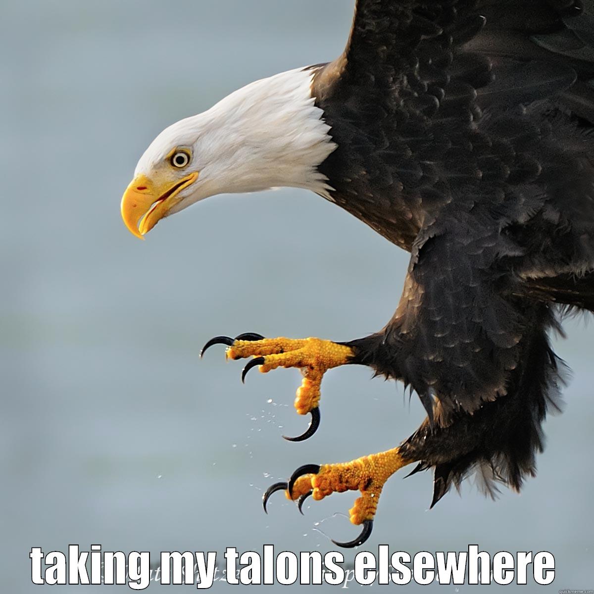  TAKING MY TALONS ELSEWHERE Misc