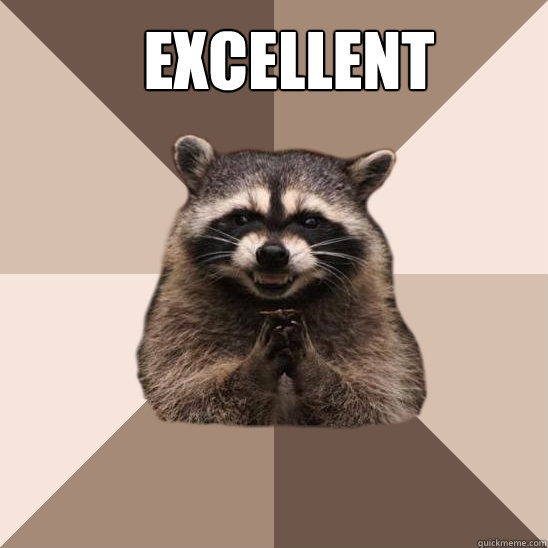 Excellent    Evil Plotting Raccoon