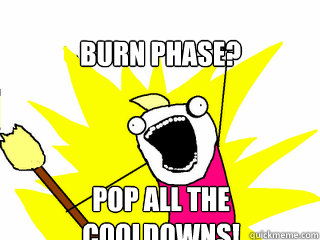 Burn Phase? POP ALL THE COOLDOWNS!  All The Things
