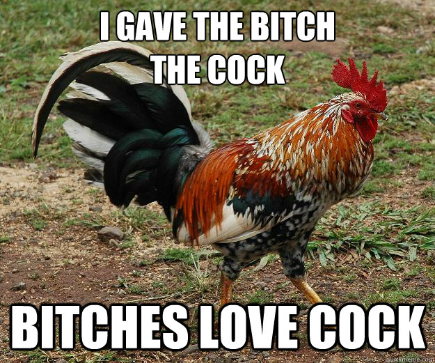 I gave the bitch
the cock bitches love cock  