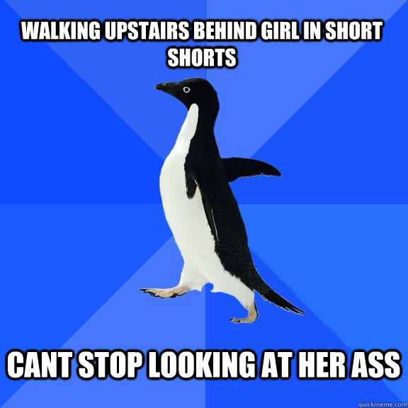 Walking upstairs behind girl in short shorts   Cant stop looking at her ass   Socially Awkward Penguin