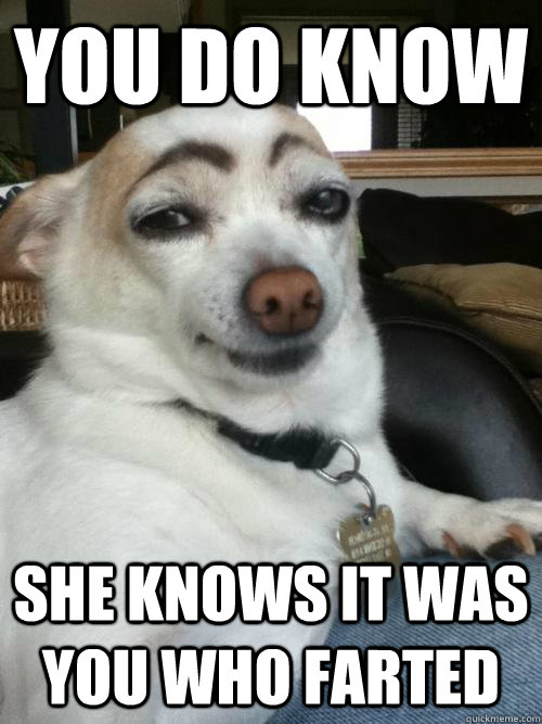 you do know  she knows it was you who farted  dog did it