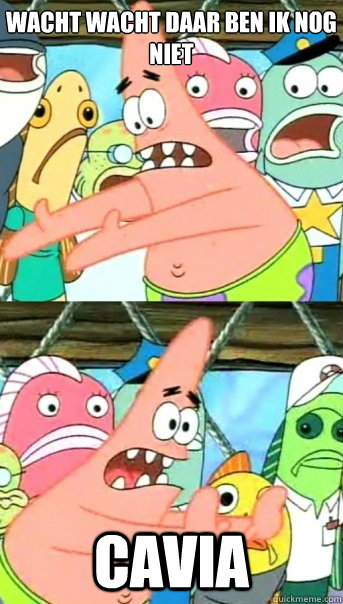 WACHT WACHT DAAR BEN IK NOG NIET CAVIA  Push it somewhere else Patrick