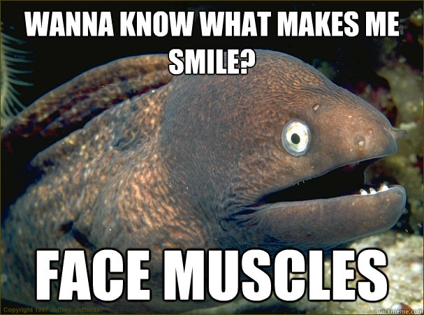 Wanna know what makes me smile? Face muscles  - Wanna know what makes me smile? Face muscles   Bad Joke Eel