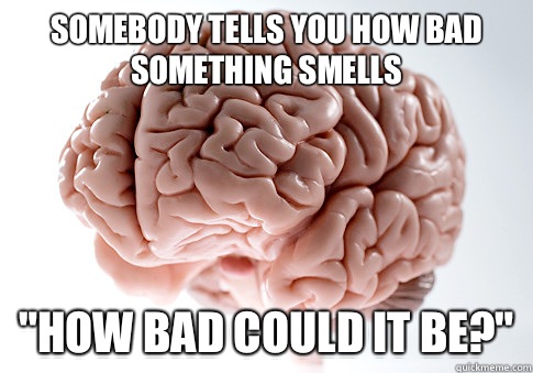 Somebody tells you how bad something smells 