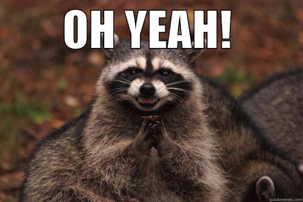 OH YEAH!  Evil Plotting Raccoon