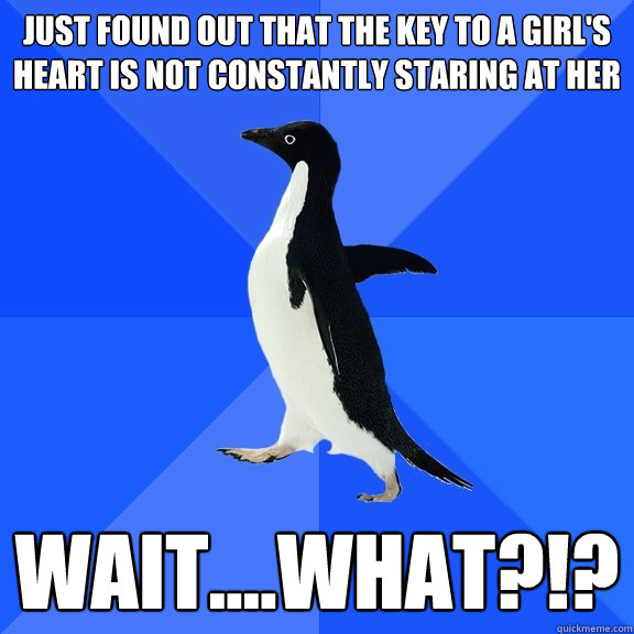 just found out that the key to a girl's heart is not constantly staring at her wait....what?!?  Socially Awkward Penguin
