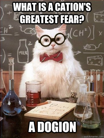 What is a cation's greatest fear? A dogion  Chemistry Cat