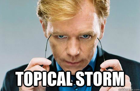  Topical Storm  Horatio Caine