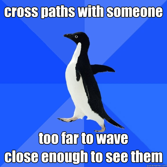 cross paths with someone too far to wave 
close enough to see them  Socially Awkward Penguin
