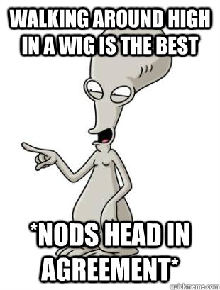 walking around high in a wig is the best *nods head in agreement*  American Dad Roger