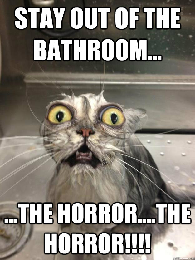 Stay out of the bathroom... ...the horror....THE HORROR!!!! - Stay out of the bathroom... ...the horror....THE HORROR!!!!  My God...the things Ive seen...