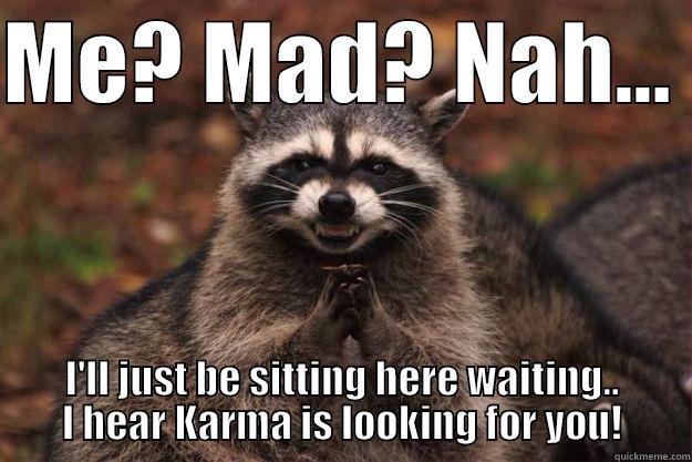 Scary raccoons  - ME? MAD? NAH...  I'LL JUST BE SITTING HERE WAITING.. I HEAR KARMA IS LOOKING FOR YOU! Evil Plotting Raccoon