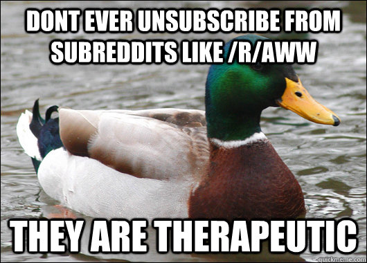 dont ever unsubscribe from subreddits like /r/aww they are therapeutic   Actual Advice Mallard