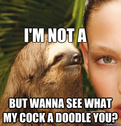 I'm not a rooster But wanna see what my cock a doodle you?  rape sloth
