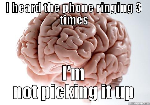 I HEARD THE PHONE RINGING 3 TIMES I'M NOT PICKING IT UP Scumbag Brain