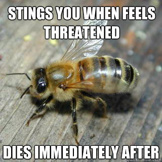 stings you when feels threatened  dies immediately after  Hivemind bee